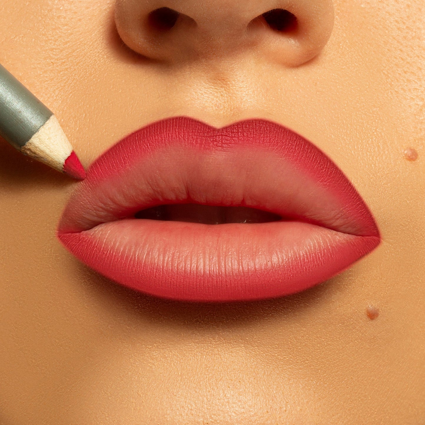 LIP LINER BUNDLE